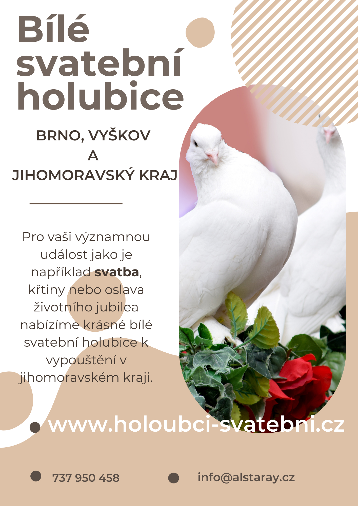 svatební holubičky